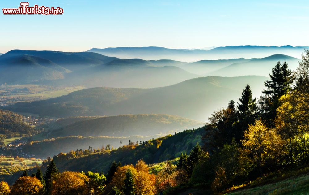 Immagine I monti Vosgi in Alsazia, panorama mattutino