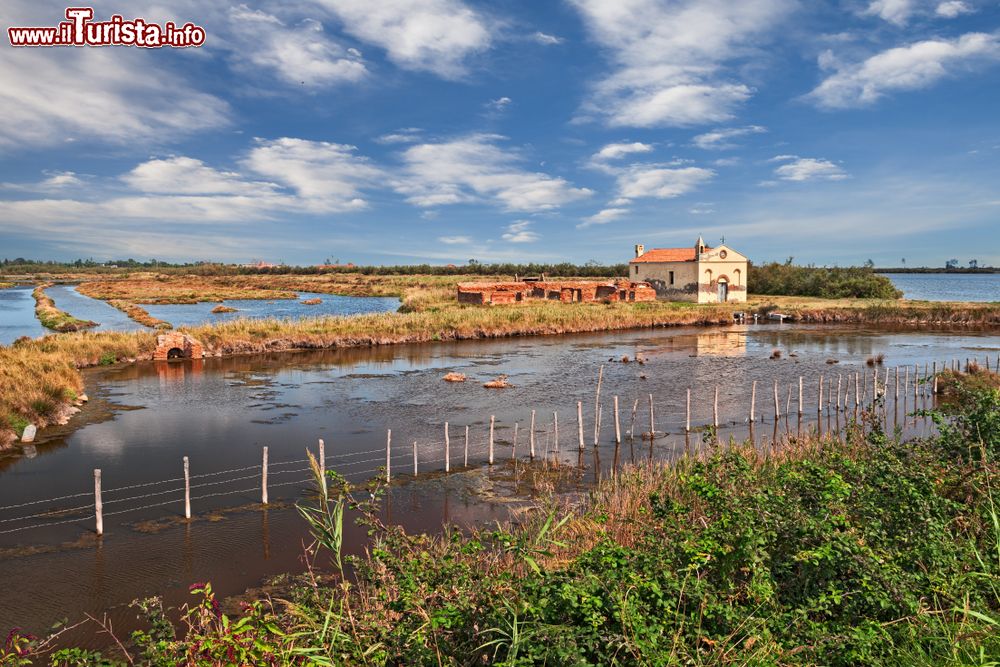 Immagine I paesaggi del Delta del Po e del Polesine a Porto Tolle, provincia di Rovigo, Veneto.