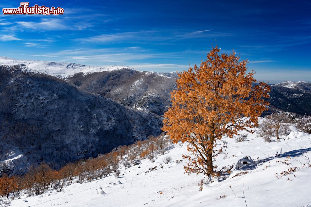 Immagine I paesaggi del Gennargentu sopra a Fonni: siamo sul monte Bruncu Spina in Sardegna