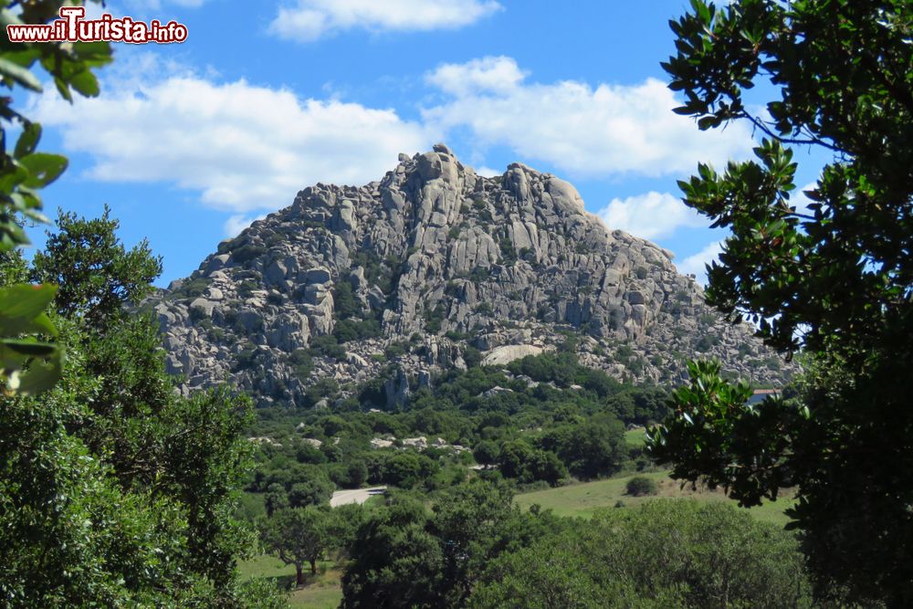 Immagine I paesaggi della Gallura sono dominati dal monte Limbara, vicino a Tempio Pausania