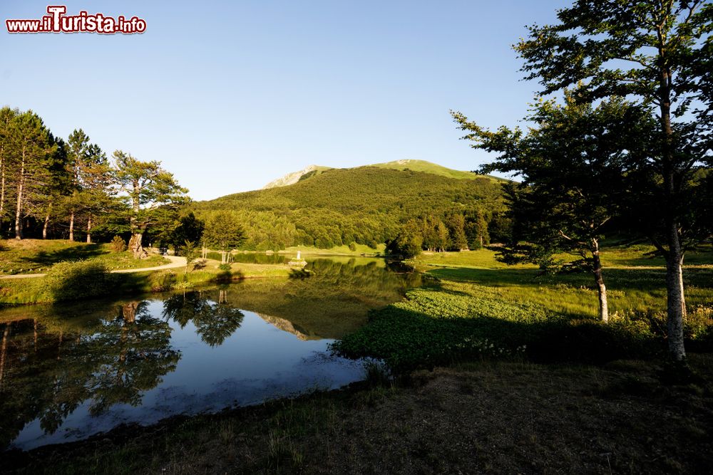 Immagine I paesaggi intorno a Ventasso Laghi in estate: sulle rive del Lago Calamone