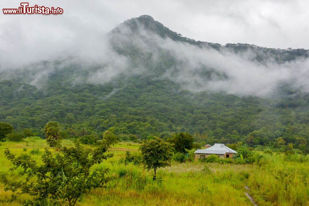 Immagine I paesaggi tra Mbeya  e il Parco Nazionale di Kitulo in Tanzania