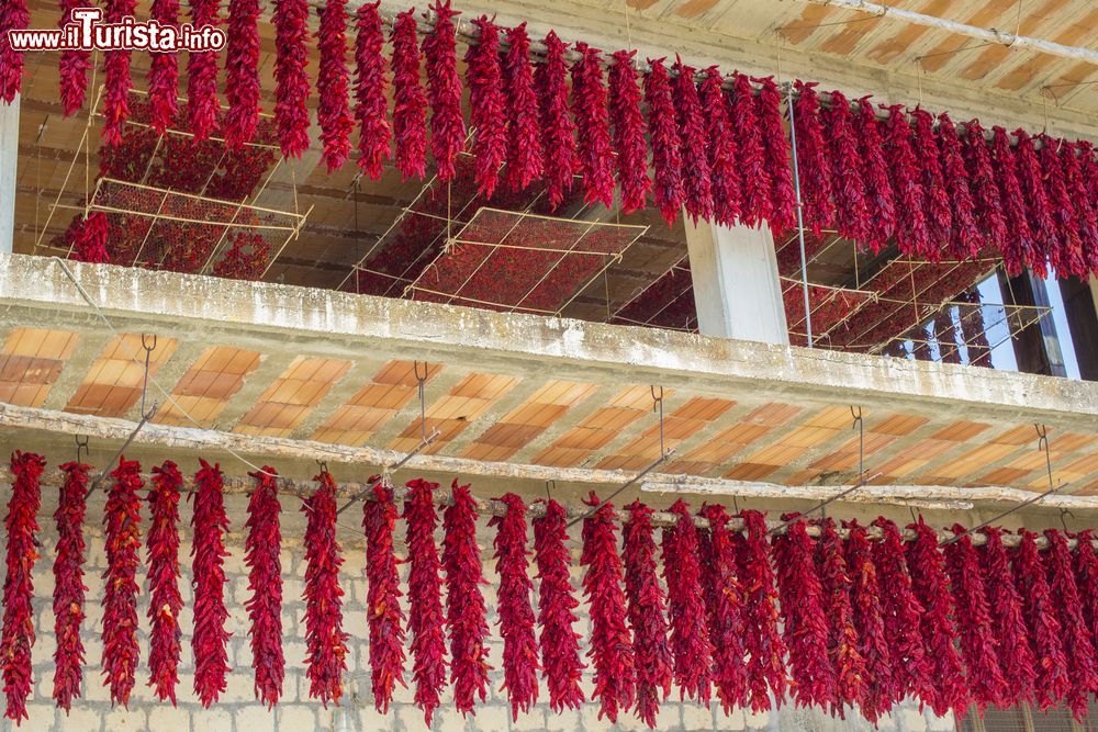 Immagine I peperoni di Senise vengono celebrati con una sagra in agosto