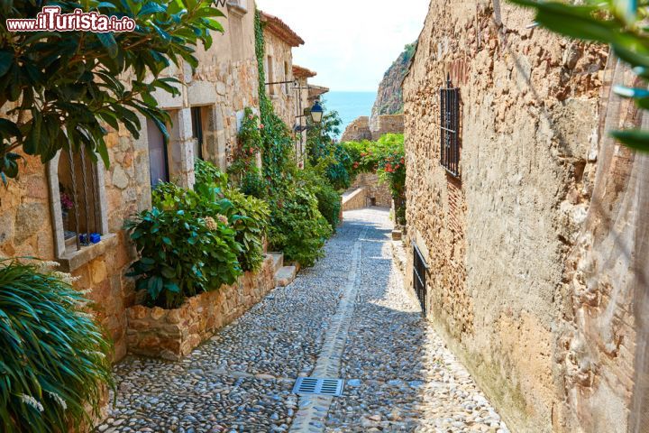 Immagine I pittoreschi vicoletti di Vila Vella: il cuore medievale di Tossa de Mar - per chi desidera trascorrere le vacanze a Tossa de Mar, perla della Costa Brava, è senza dubbio d'obbligo una visita al cuore medievale della città, ovvero l'antica Villa Vella. Questo splendido borgo medievale, costruito nel XII secolo e situato interamente all'interno di una cinta muraria, contiene dei veri e propri tesori di arte e architettura, quali la la chiesa gotica, i resti del castello medievale e il museo cittadino, che ospita, tra le altre cose, opere artistiche di grande fama, tra cui "Il Violinista Celeste" di Chagall. - © holbox / Shutterstock.com