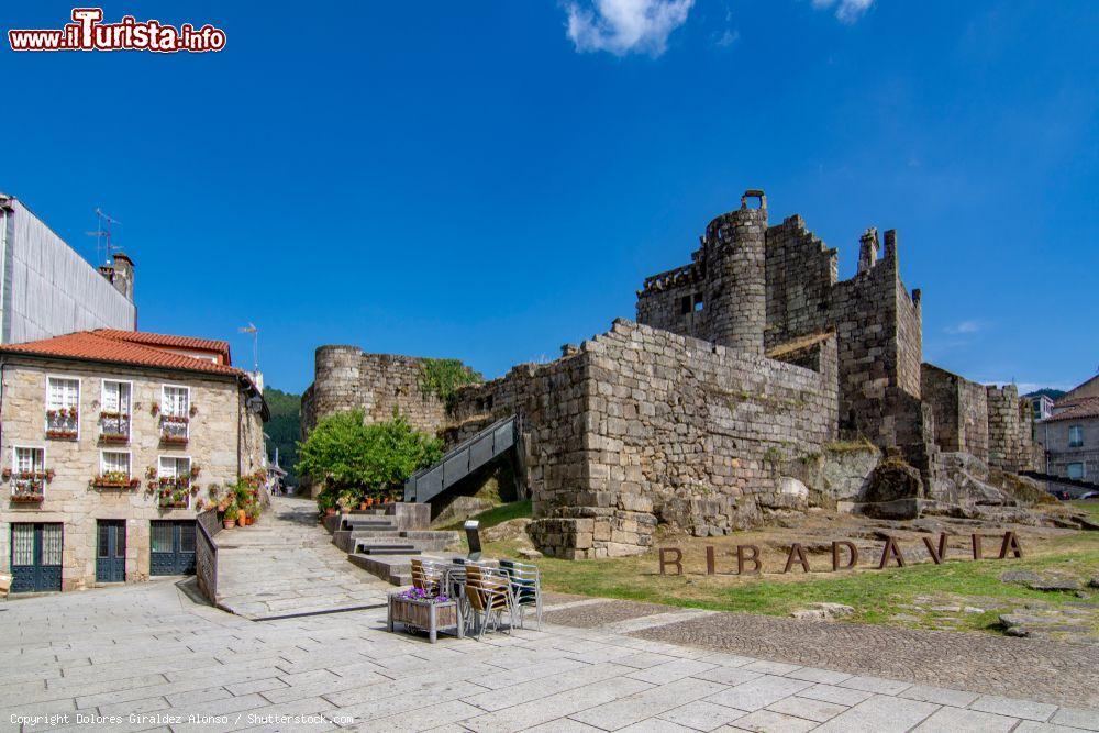 Immagine I resti del castello medievale di Ribadavia, provincia dell'Ourense (Spagna) - © Dolores Giraldez Alonso / Shutterstock.com