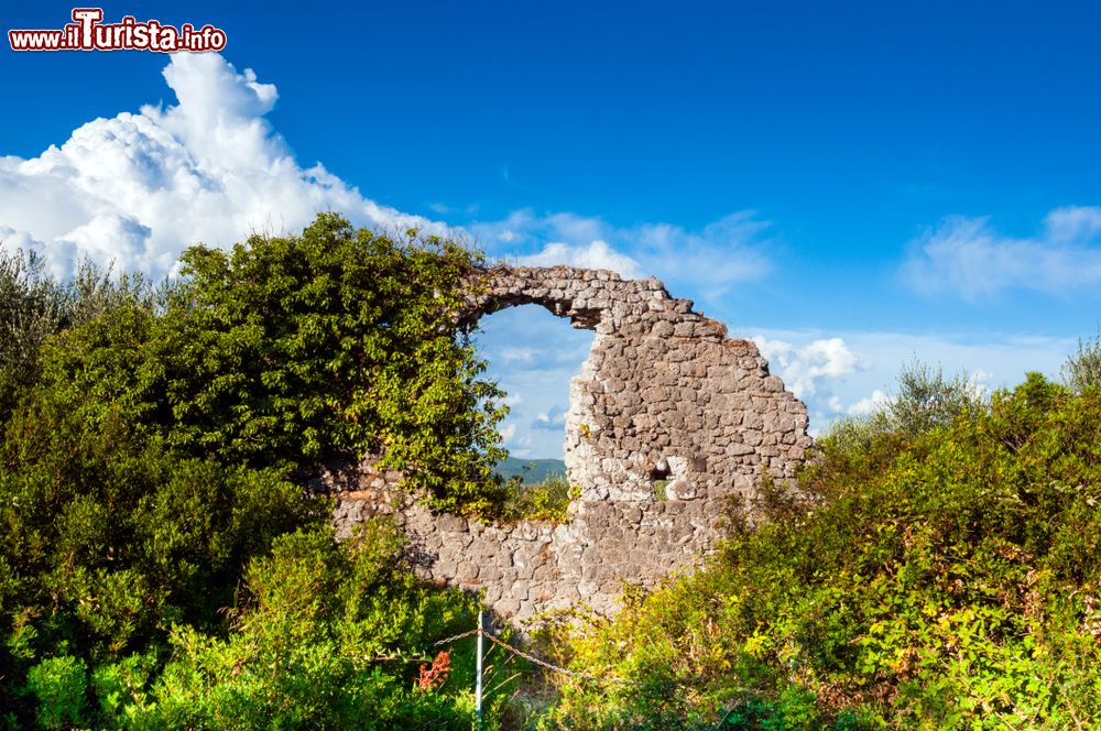 Immagine I resti della antica città di Cosa: siamo a Ansedonia in Toscana a sud dell'Argentario