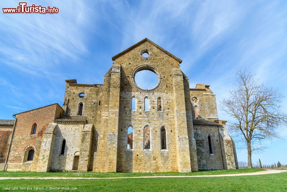 Immagine I ruderi della Cattedrale di San Galgano in Toscana, colline senesi vicino a Chiusdino - © Georgia Carini / Shutterstock.com