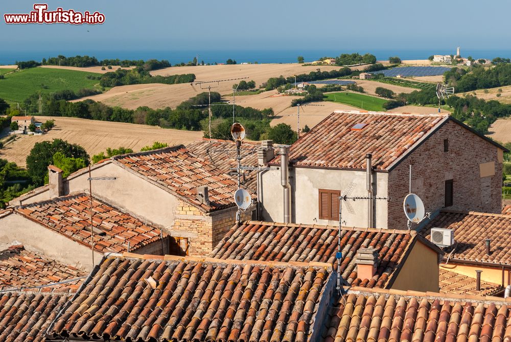 Immagine I tetti del borgo di Mondolfo nelle colline marchigiane a nord di Ancona