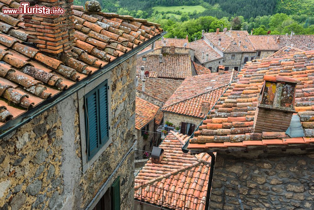 Immagine I tetti del centro storico del borgo di Santa Fiora in Toscana