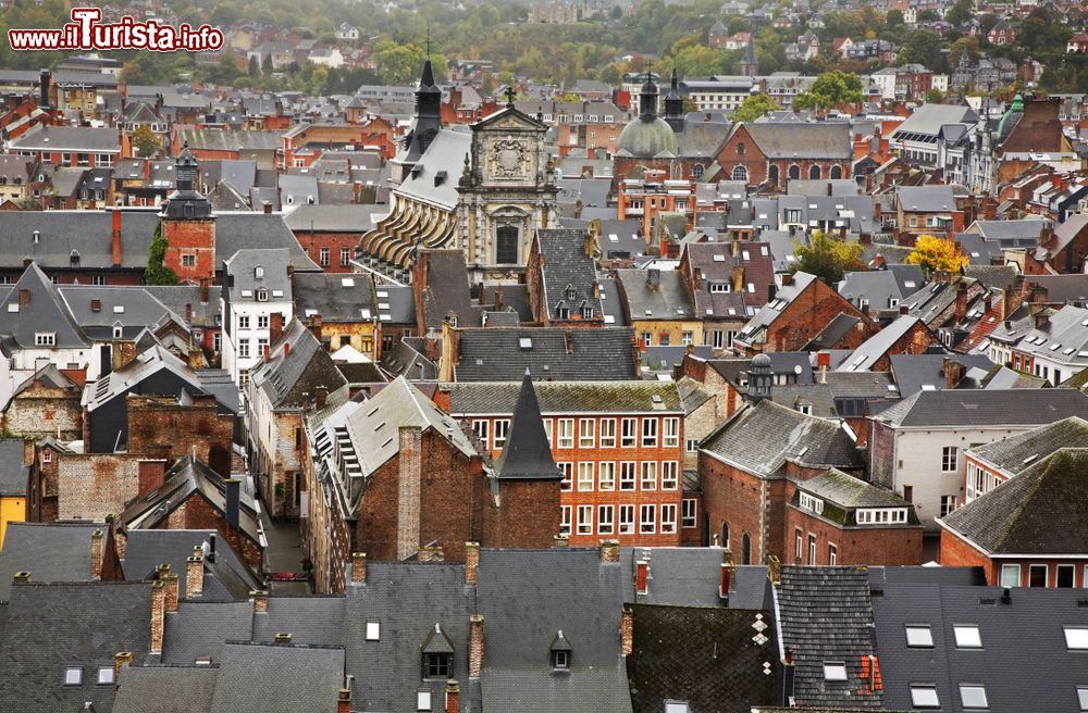 Immagine I tetti di Namur fotografati in una grigia giornata invernale, Belgio.
