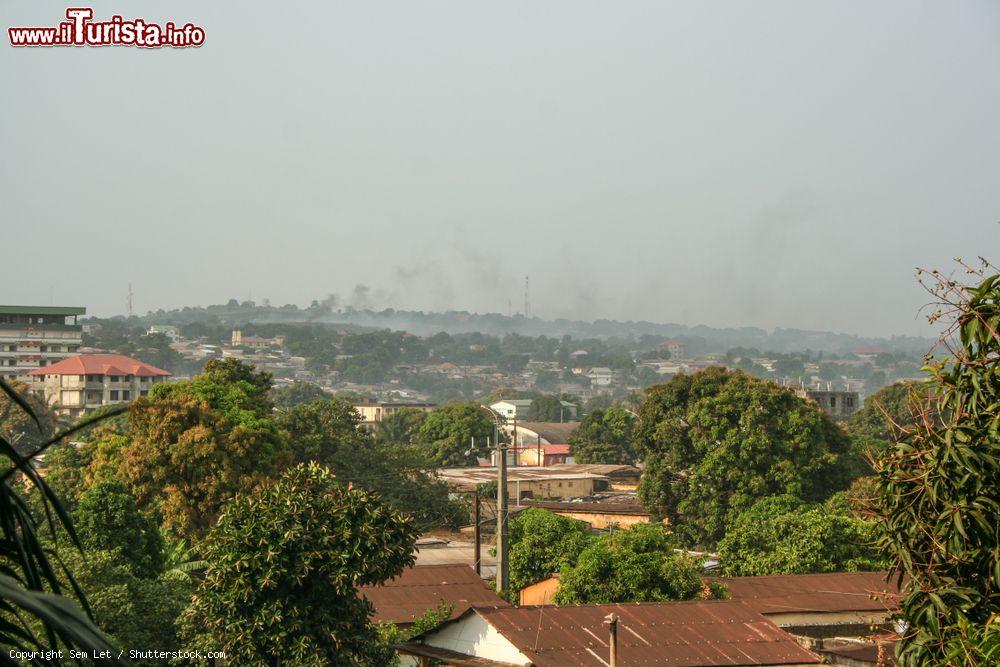 Immagine I tetti rossi della città di Conakry in contrasto con il verde degli alberi, Guinea - © Sem Let / Shutterstock.com