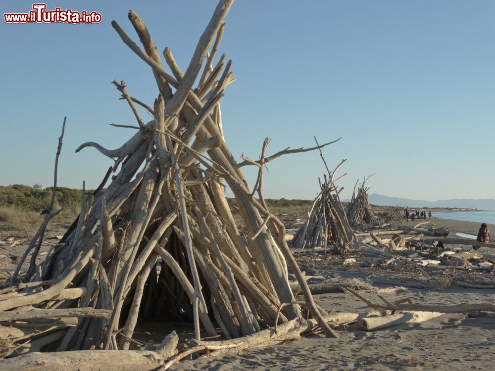 Immagine i tronchi della spiaggia di Principina a Mare vengono utilizzati in inverno per degli alloggi di fortuna