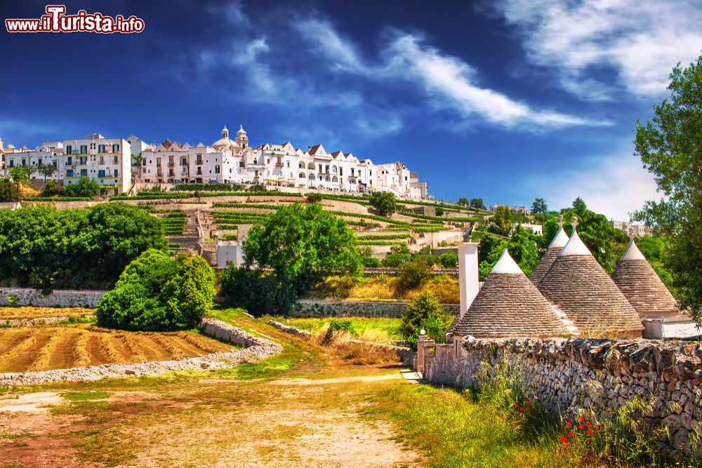 Immagine i trulli della Valle d'Itria e il borgo bianco di Locorotondo in Puglia