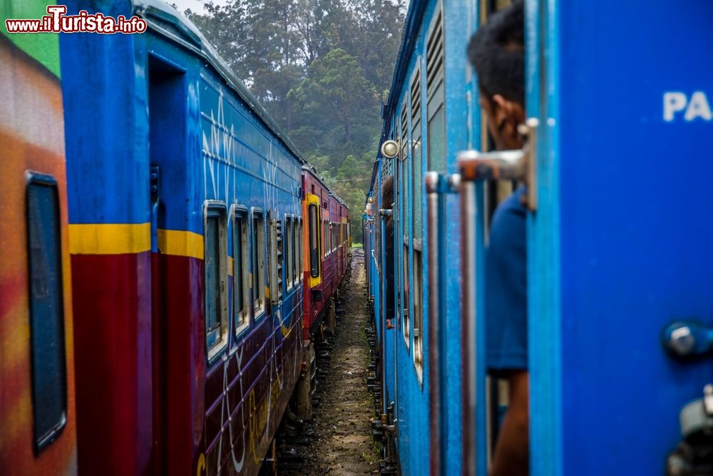 Immagine I vagoni colorati di due treni nei pressi della città di Colombo, Sri Lanka.