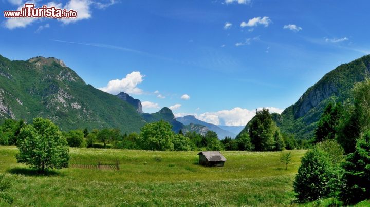 Immagine I verdi paesaggi che circondano Molina di Ledro in Trentino