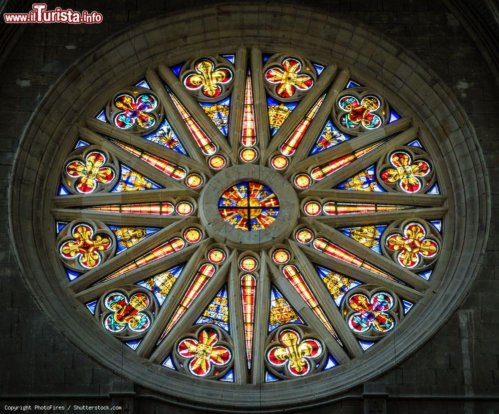 Immagine I vetri colorati del rosone nella cattedrale della Santa Croce a Orléans, Valle della Loira, Francia - © PhotoFires / Shutterstock.com