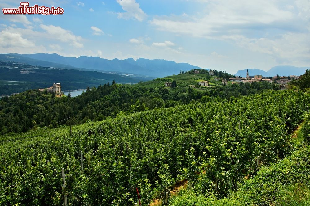 Immagine I vigneti che circondano Cles, il Castello e il lago Santa Giustina. Siamo in Val di Non, in Trentino