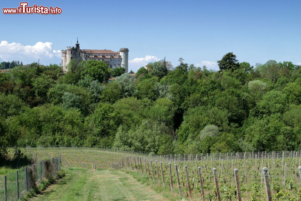 Immagine I vigneti che circondano Costigliole e il suo Castello, provincia di Asti (Piemonte)