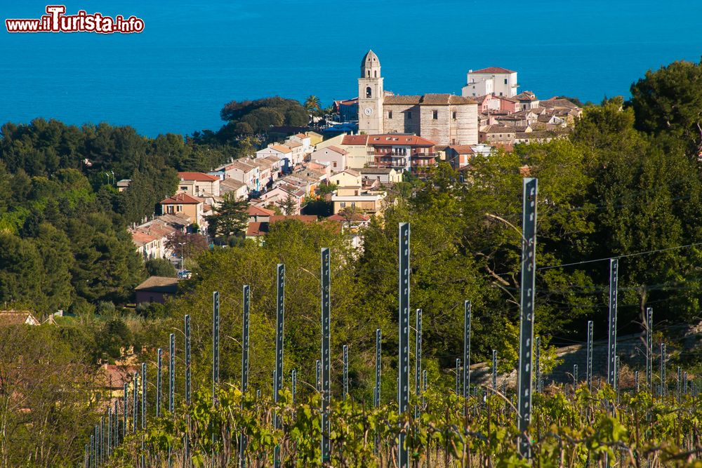 Immagine I vigneti del Conero vicino a Sirolo nelle Marche