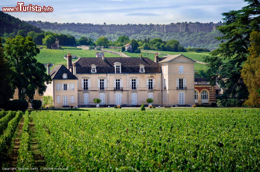 Immagine I vigneti della Borgogna circondano il castello di Chateau de Meursault una delle cantine celebri della regione della Francia - © Massimo Santi / Shutterstock.com