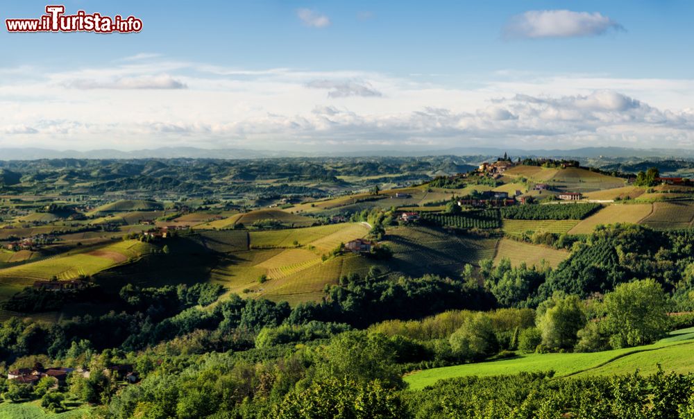 Immagine I vigneti della Langhe in Piemonte, fotografati dalla terrazza panoramica di Sinio