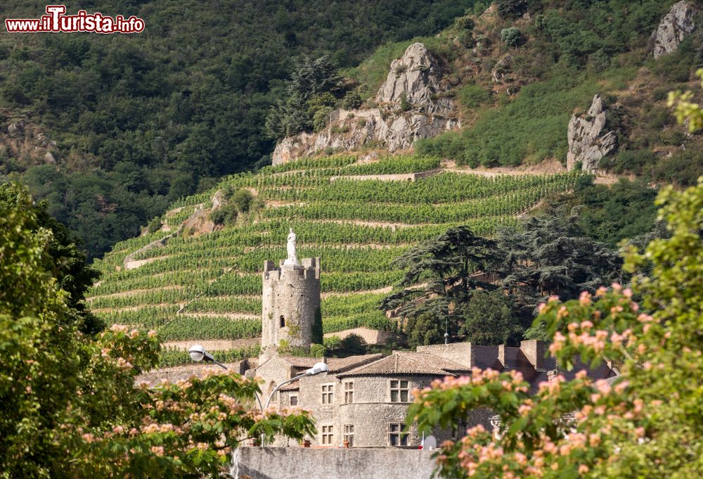Immagine I vigneti di M. Chapoutier Crozes-Hermitage con un'antica costruzione in pietra a Tain-l'Hermitage, Francia.