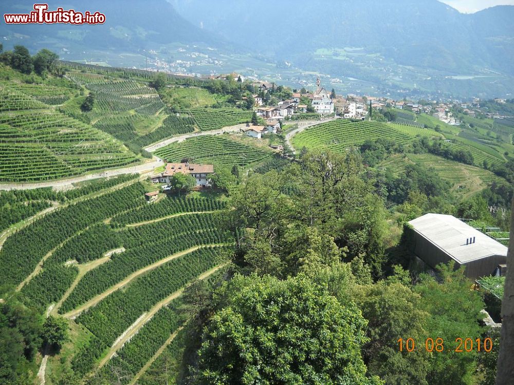 Immagine I vigneti intorno a Tirolo in Alto Adige - ©  Raimondo Perrina, CC BY-SA 3.0, Wikipedia