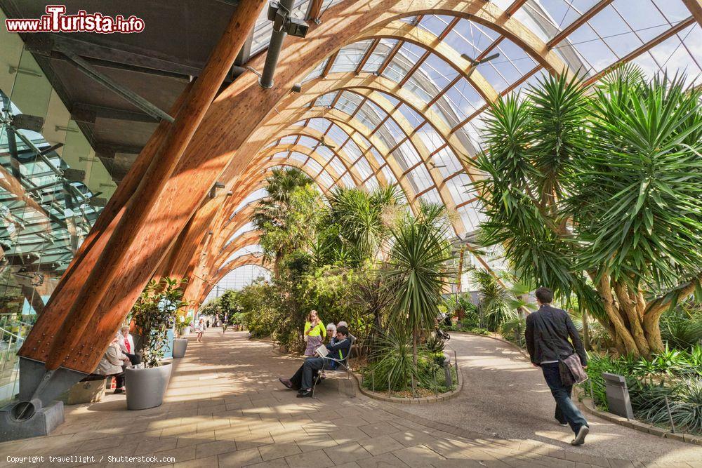 Immagine I Winter Gardens di Sheffield in una giornata primaverile con visitatori (Inghilterra) - © travellight / Shutterstock.com