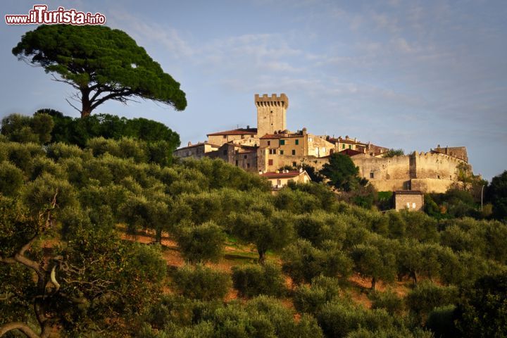Immagine Il bel paesaggio agreste che circonda il castello di Capalbio, Toscana - © mdlart / Shutterstock.com
