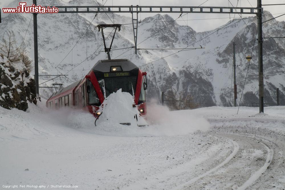 Immagine Il Bernina Express in arrivo alla stazione Alp Grum nei pressi di Poschiavo, Svizzera: una suggestiva veduta invernale con la neve - © Fed Photography / Shutterstock.com