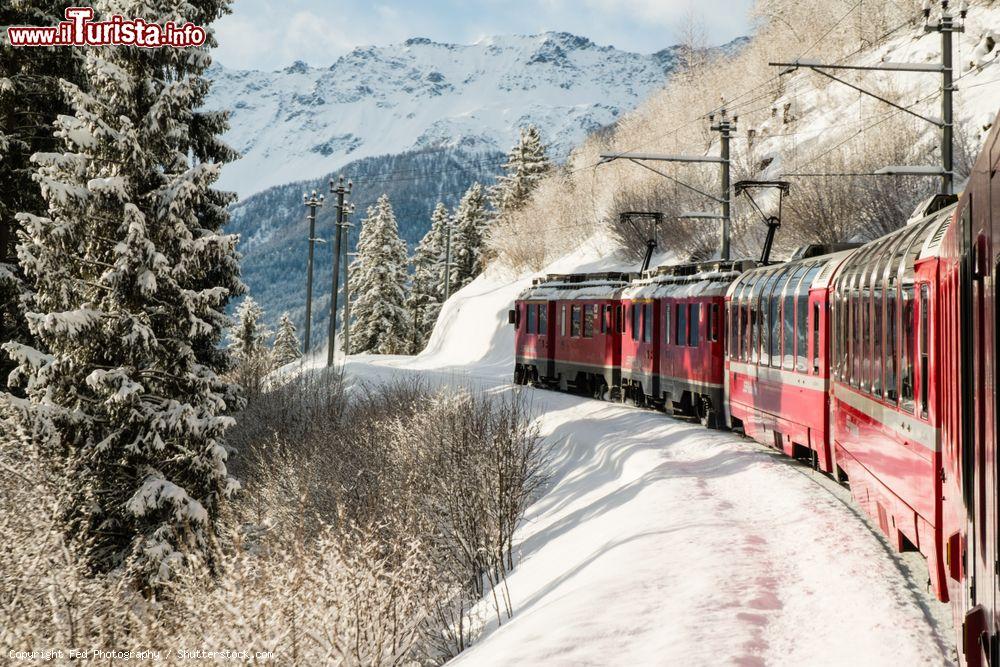 Immagine Il Bernina Express in inverno nei pressi di Poschiavo in Svizzera - © Fed Photography / Shutterstock.com