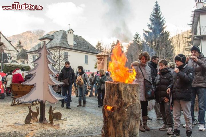 Immagine Le suggestive stufette ricavate nei tronchi d'abete durante i mercatini di Natale a Santa Maria Maggiore