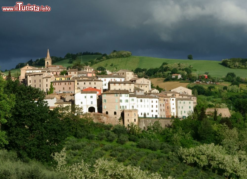 Le foto di cosa vedere e visitare a Cartoceto