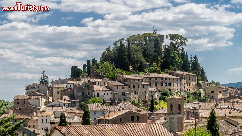 Le foto di cosa vedere e visitare a Cetona