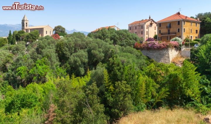 Immagine Il borgo di Figari si trova nel sud della Corsica