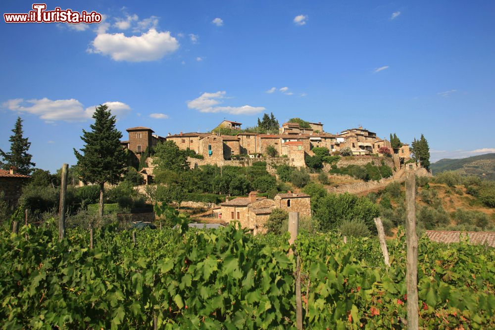 Le foto di cosa vedere e visitare a Montefioralle