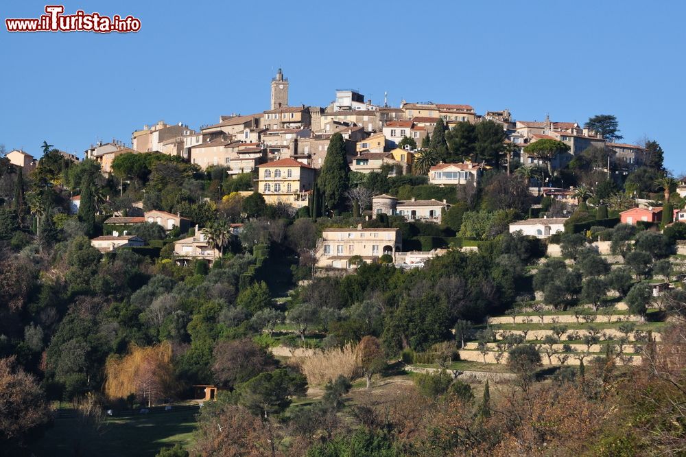 Le foto di cosa vedere e visitare a Mougins