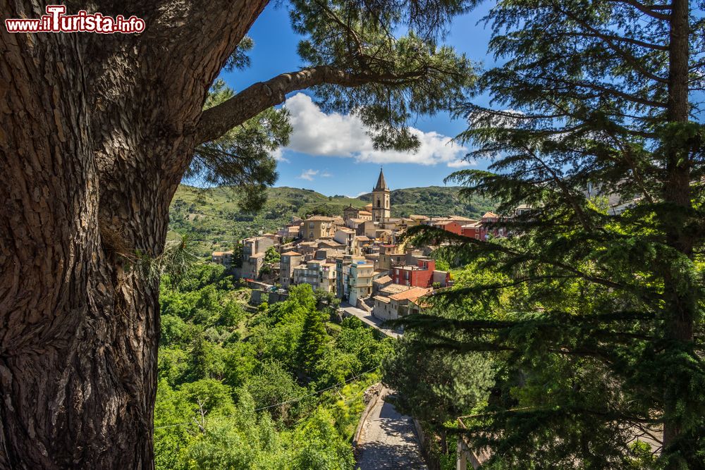 Le foto di cosa vedere e visitare a Novara di Sicilia