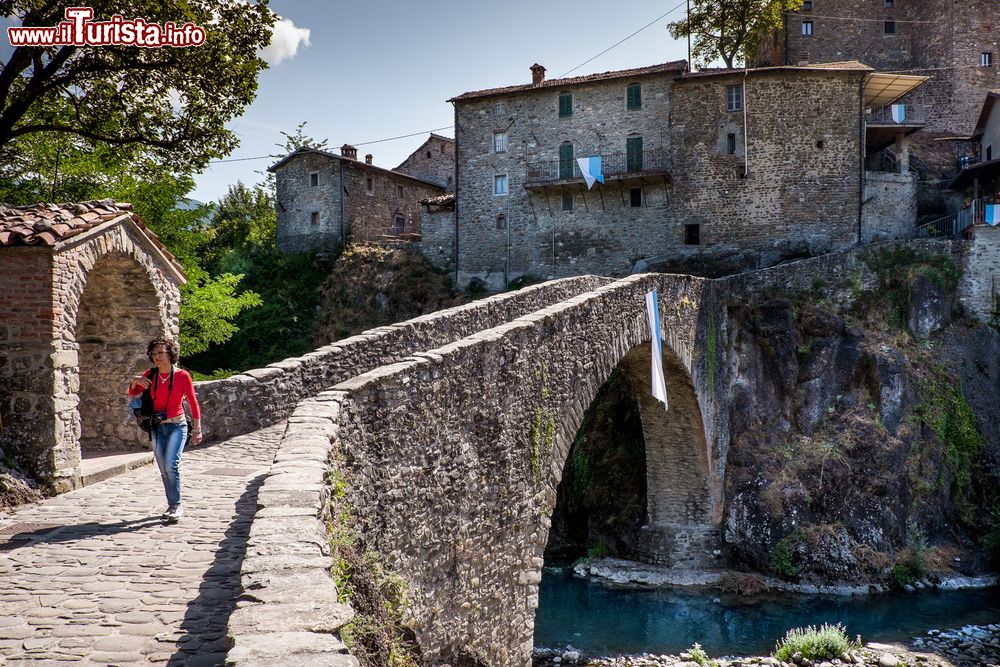 Immagine Il borgo di Piazza al Serchio in Toscana