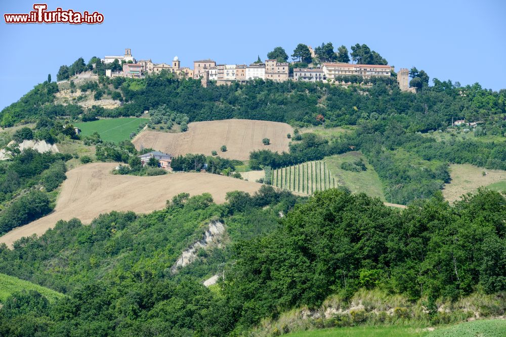Immagine Il borgo di Ripatransone nelle colline delle Marche, Italia. E' uno dei centri più antichi della provincia di Ascoli Piceno.