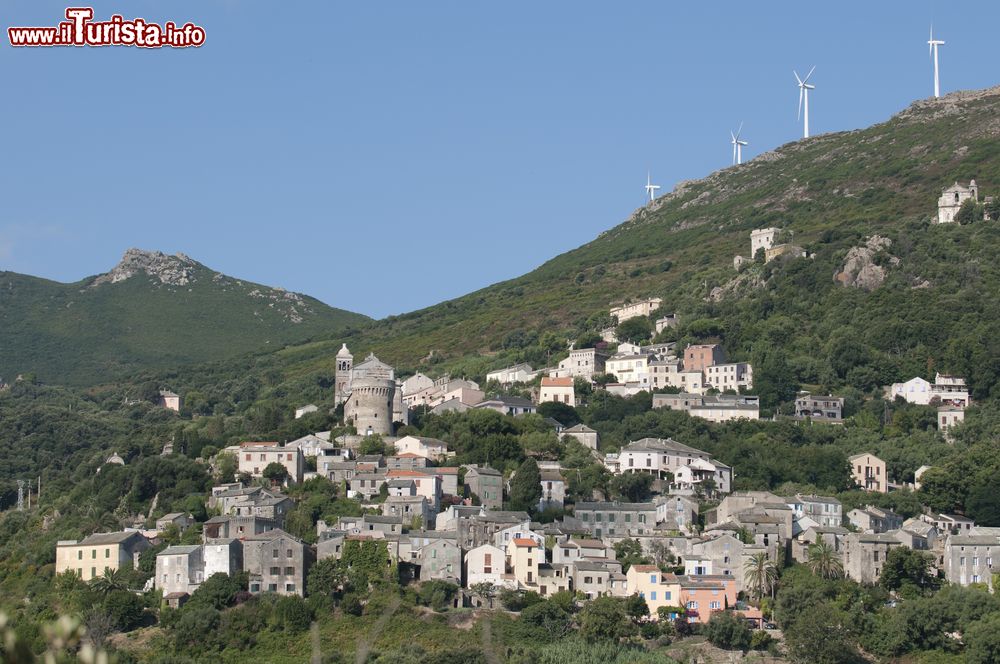 Le foto di cosa vedere e visitare a Rogliano