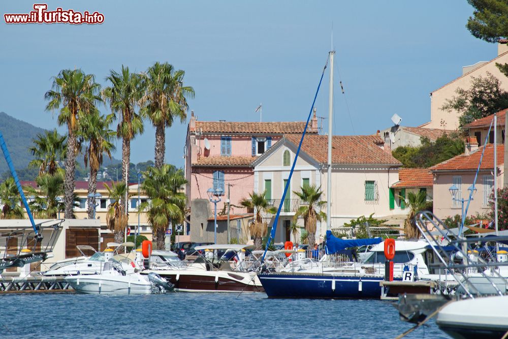 Immagine Il borgo di Sanary-sur-Mer sulla costa del Mediterraneo con le sue barche colorate ormeggiate al porto (Francia).