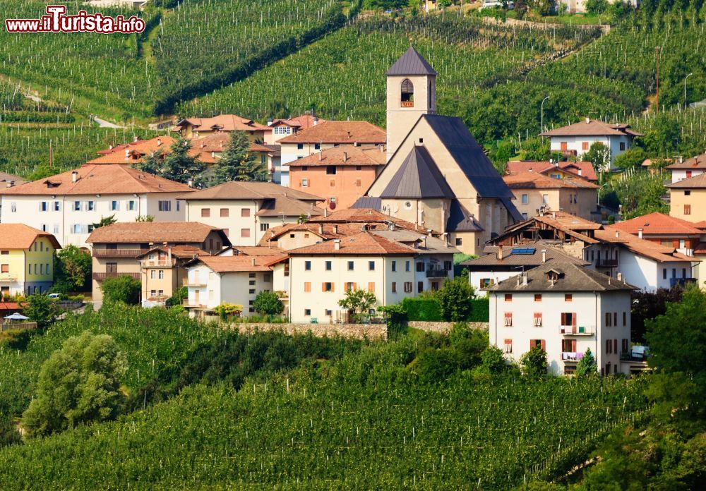 Immagine Il borgo di Tassullo incornicato dai vigneti del Trentino