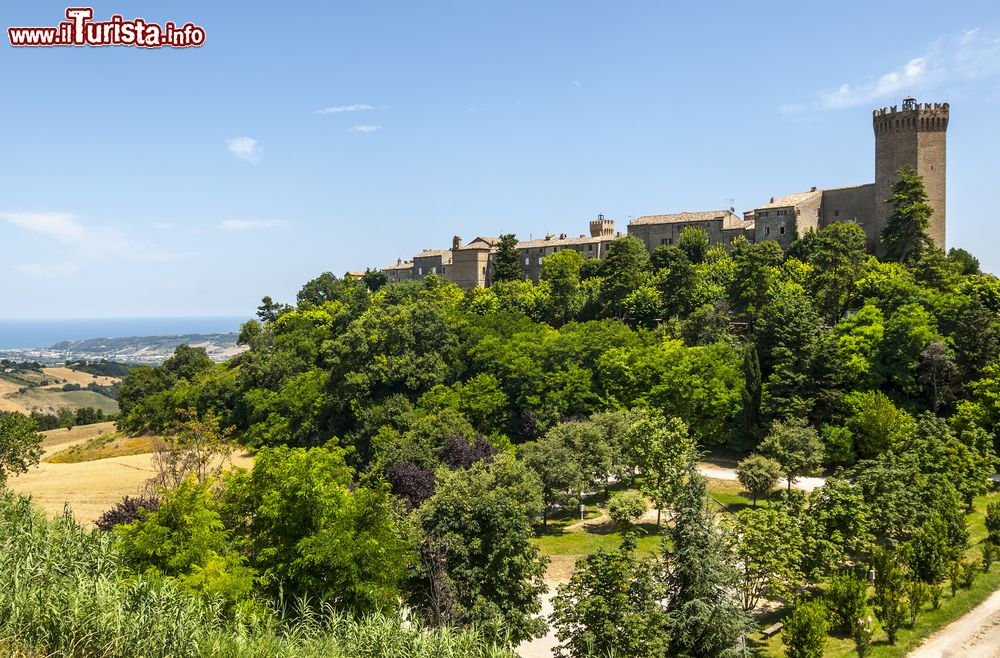 Le foto di cosa vedere e visitare a Moresco