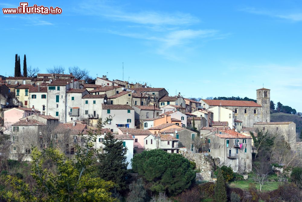 Immagine Il borgo medievale di Scansano in Toscana, famoso per il suo vino 'Morellino'.