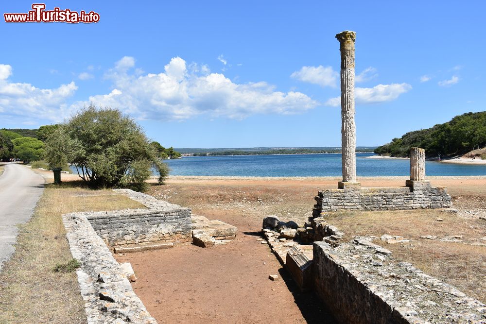 Immagine Il Brijuni National Park, un arcipelago di 14 isole vicino all'istria, con rovine romane e il mare cristallino della Croazia