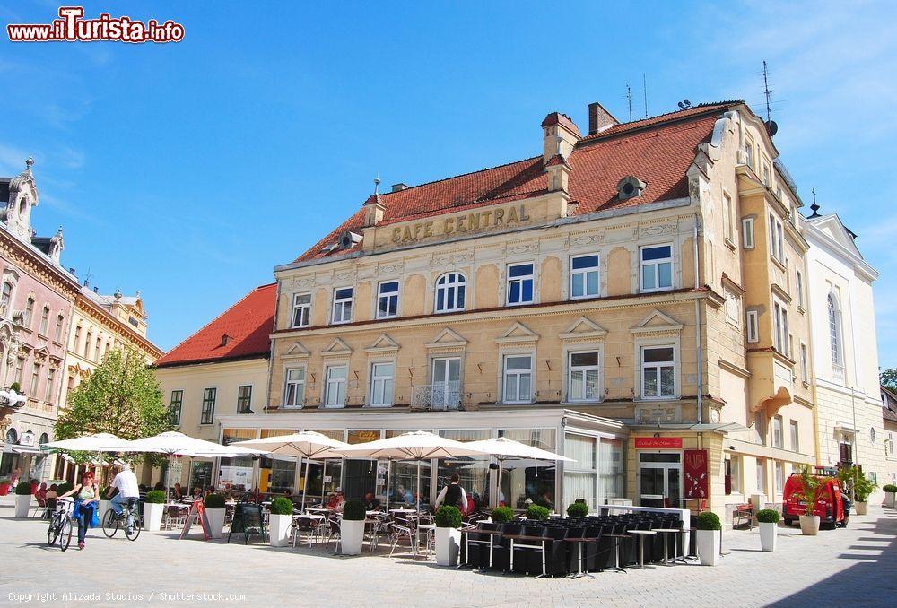 Immagine Il Cafe Central di Baden bei Wien, la località termale dell'Austria. - © Alizada Studios / Shutterstock.com