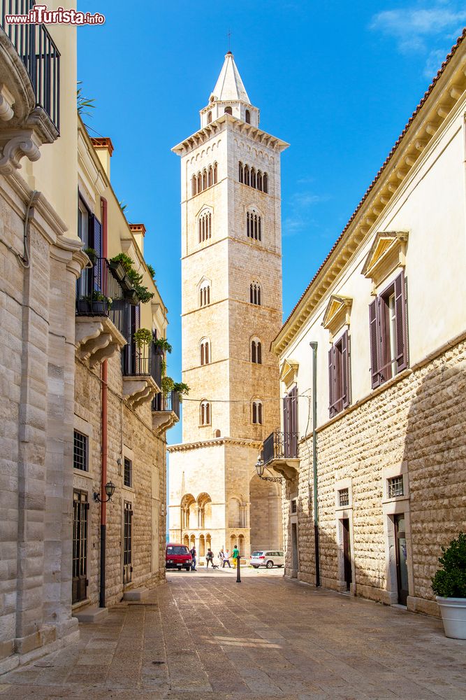 Immagine Il campanile della cattedrale di Trani, Puglia. L'edificio religioso è costruito in tufo calcareo, la famosa pietra di Trani estratta dalle cave della città e dal tipico colore roseo.