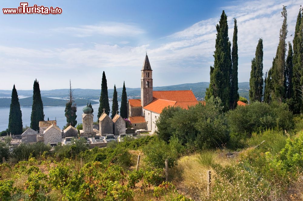 Immagine Il campanile di una chiesa a Orebic, Croazia, circondato da alberi di cipresso.