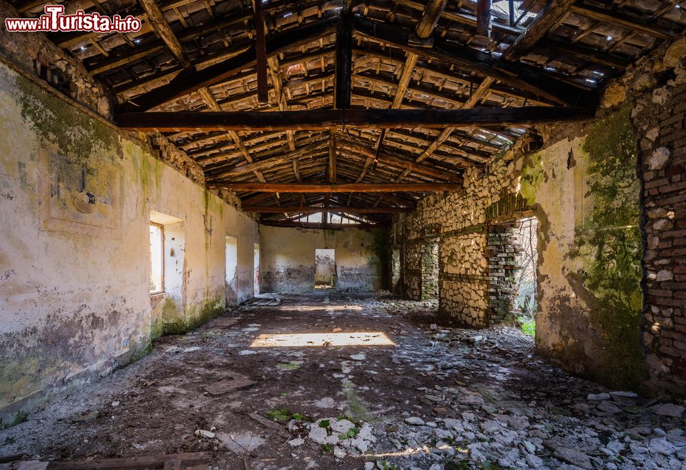 Immagine Il campo di internamento delle Fraschette, nei pressi di Alatri, fu istituito nel 1941 dal regime fascista per rinchiudervi prigionieri di guerra, ma servì soprattutto per internare civili greci e slavi.